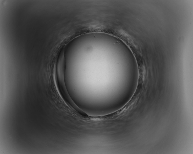 X0000093151157200710101130