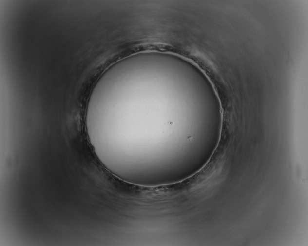 X0000093151159200710101130