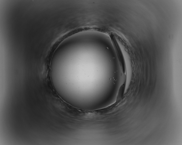 X0000093151160200710101130