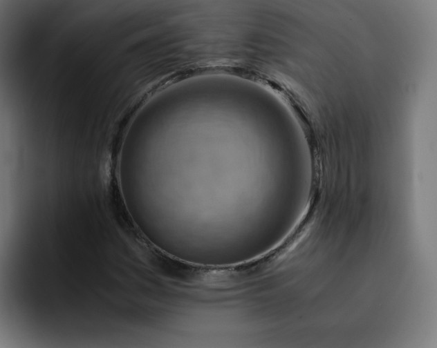 X0000093151161200710101130