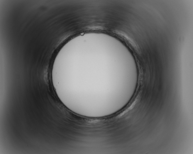 X0000093151162200710101130