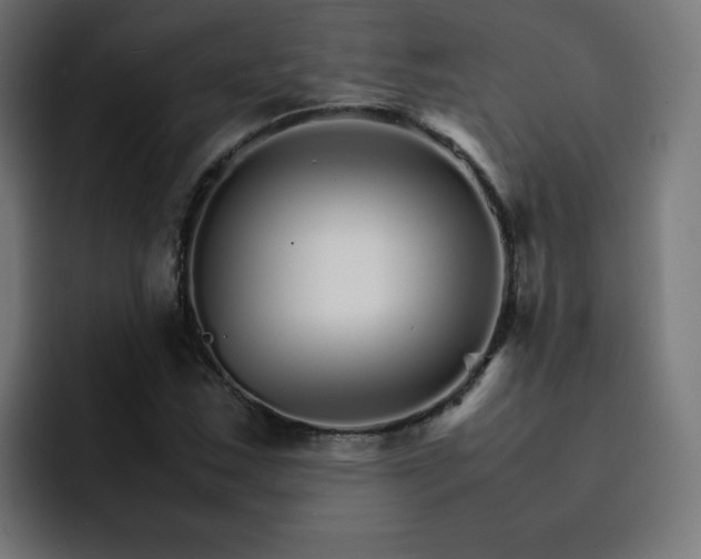 X0000093151163200710101130