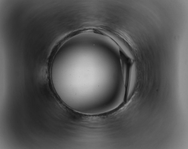 X0000093151164200710101130