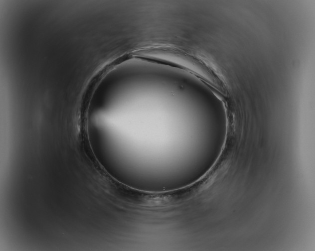 X0000093151165200710101130
