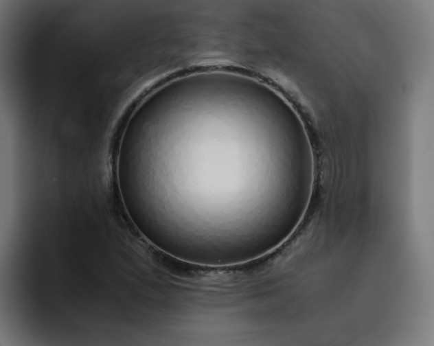 X0000093151167200710101130
