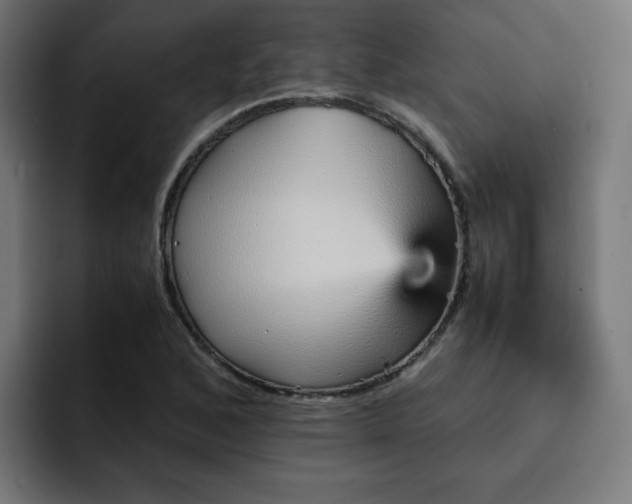 X0000093151168200710101130