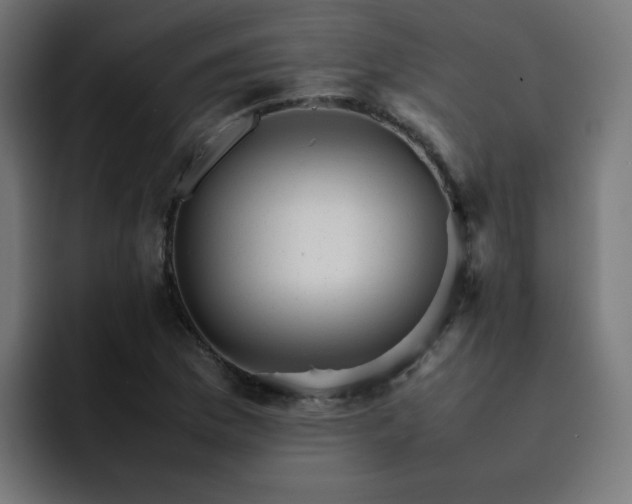 X0000093151169200710101130