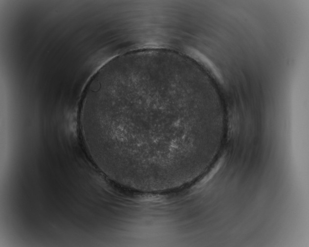 X0000093151170200710101130