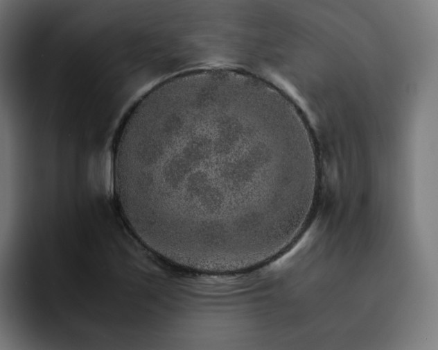 X0000093151171200710101130