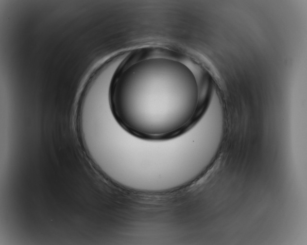 X0000093151172200710101130