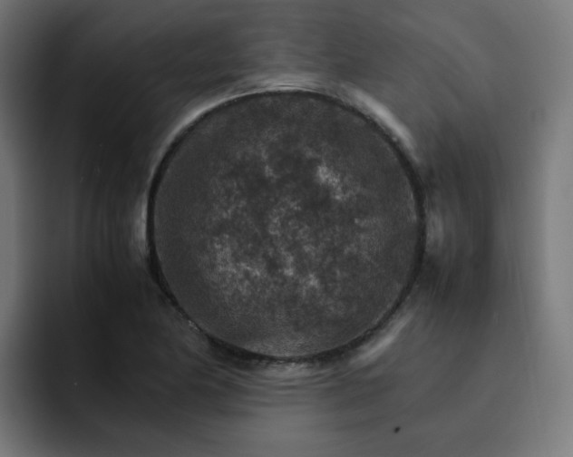 X0000093151174200710101130