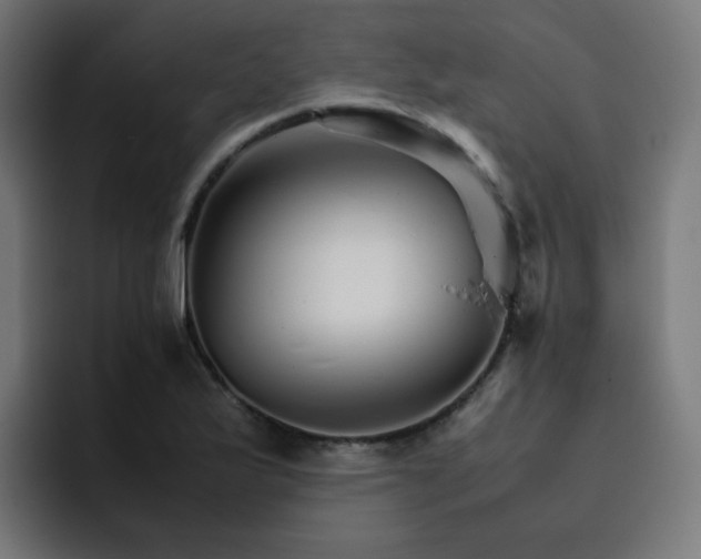 X0000093151175200710101130