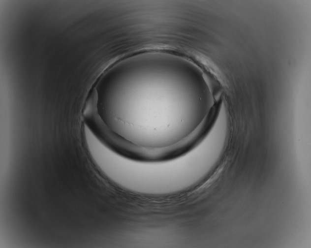 X0000093151177200710101130