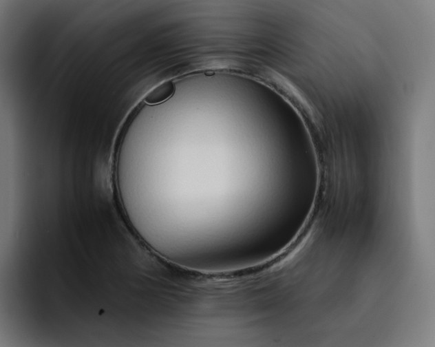 X0000093151178200710101130