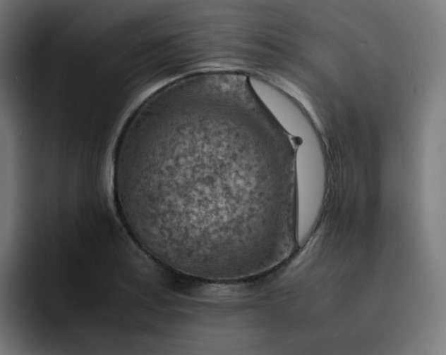 X0000093151179200710101130