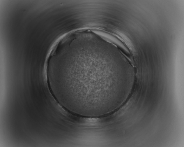 X0000093151180200710101130