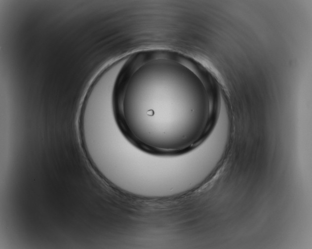 X0000093151181200710101130