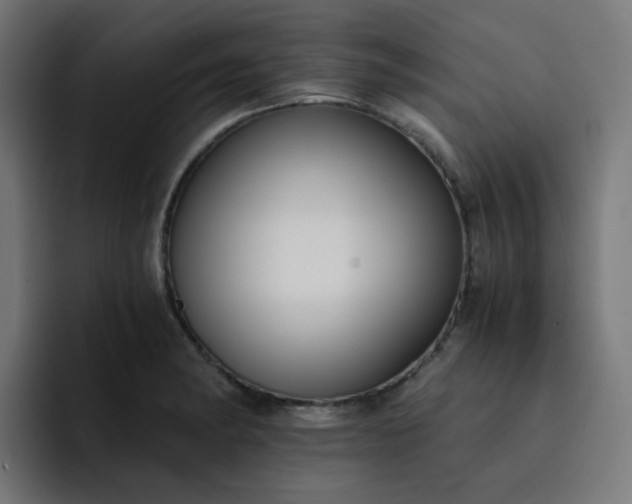 X0000093151182200710101130