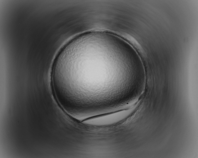 X0000093151183200710101130