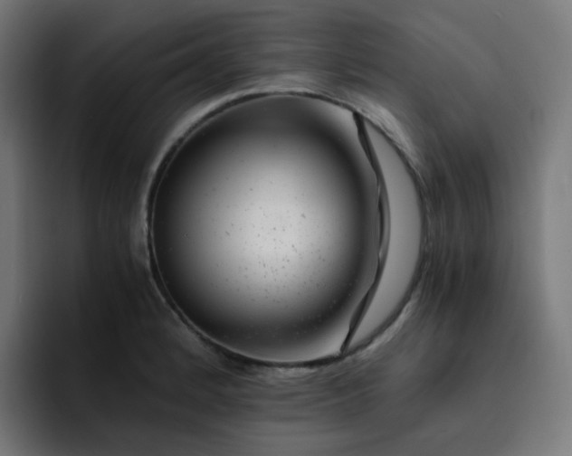 X0000093151184200710101130