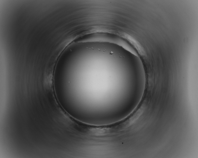 X0000093151185200710101130
