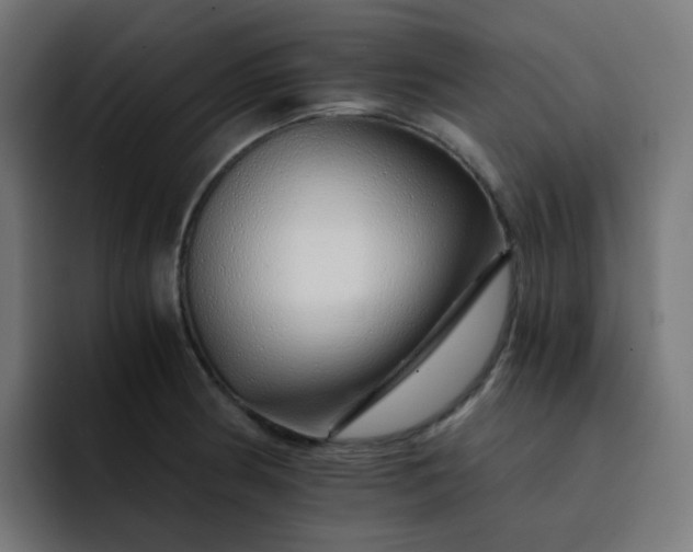 X0000093151186200710101130