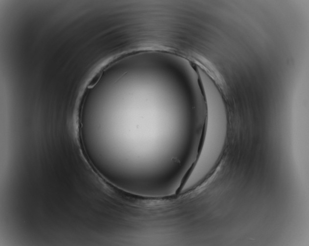 X0000093151188200710101130
