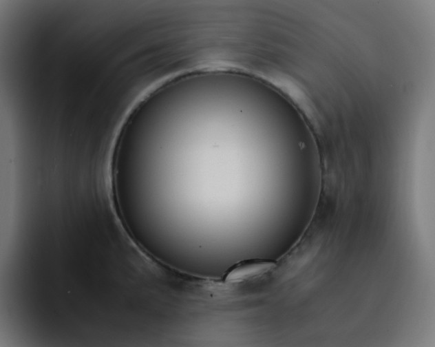 X0000093151191200710101130