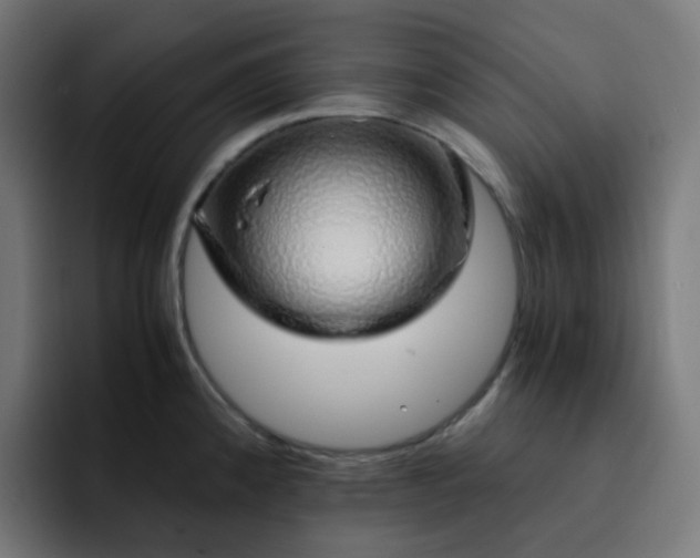 X0000093151192200710101130