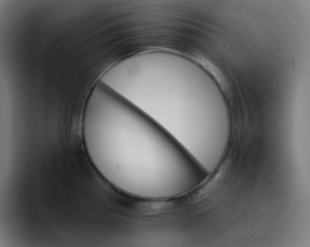 X0000093151193200710101130