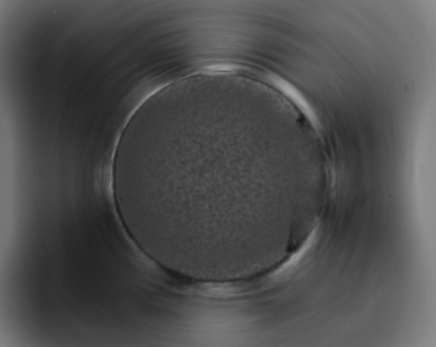 X0000093151194200710101130