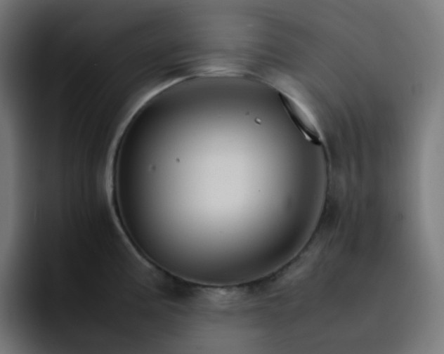 X0000093151195200710101130