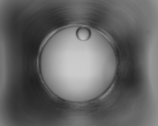 X0000093151196200710101130