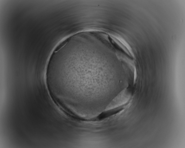 X0000093151197200710101130