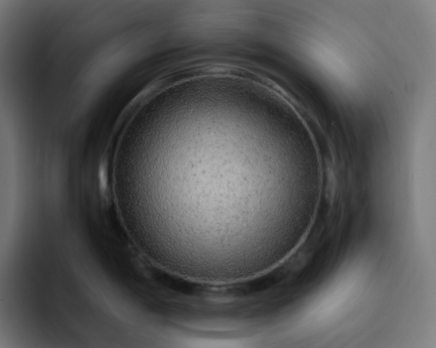 X0000093151198200710101130