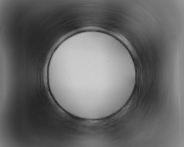 X0000093151199200710101130