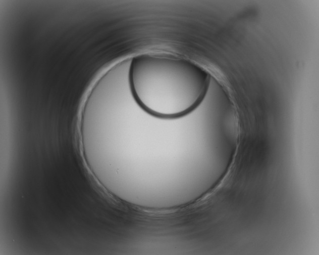 X0000093151200200710101130