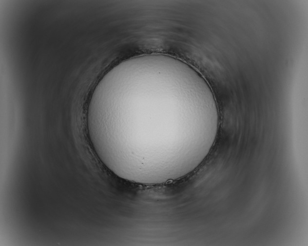 X0000093151201200710101129