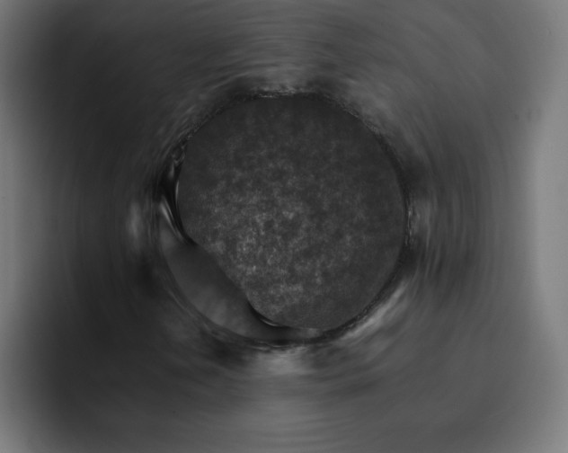 X0000093151202200710101129