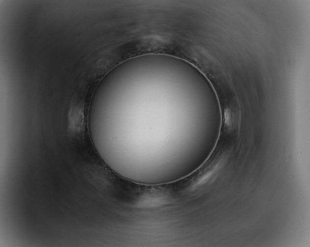 X0000093151203200710101129