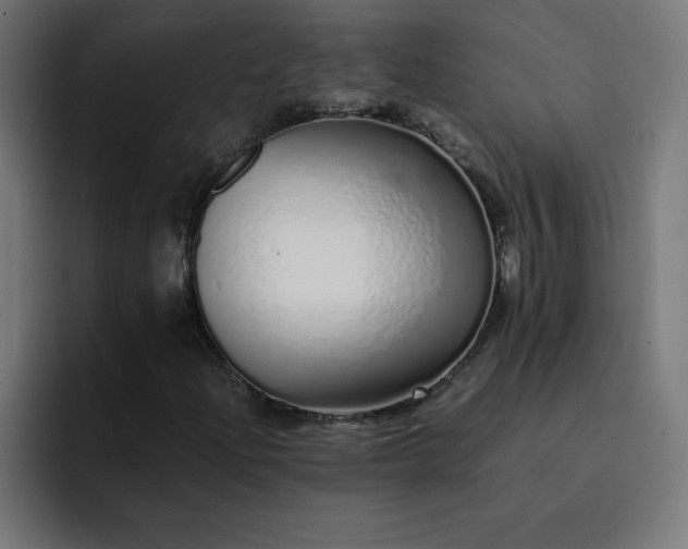 X0000093151204200710101129