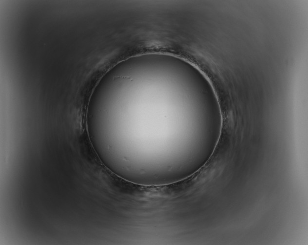 X0000093151205200710101129
