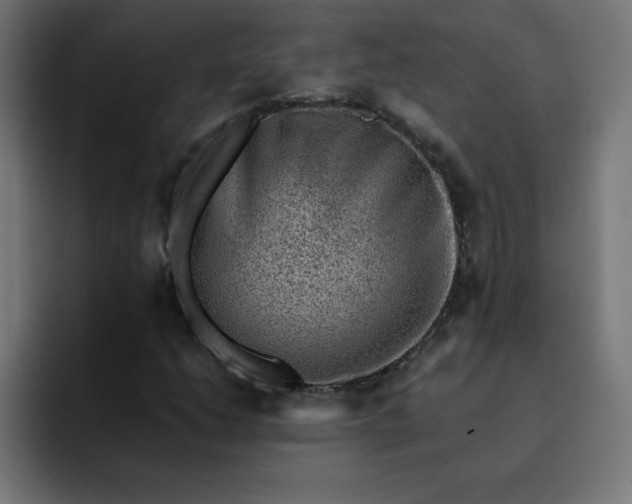 X0000093151206200710101129