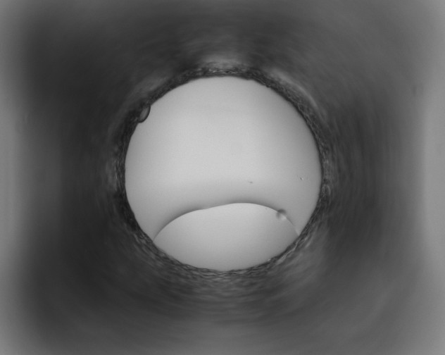 X0000093151207200710101129