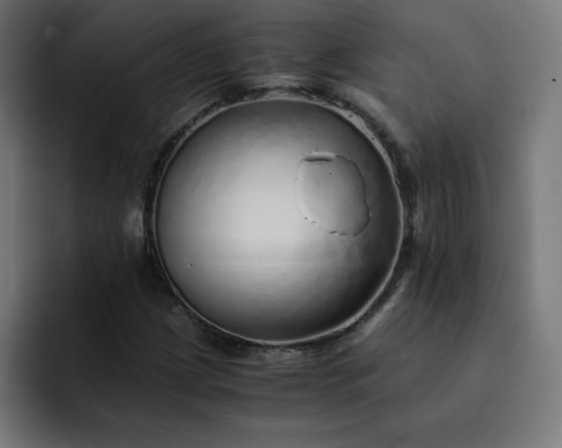 X0000093151209200710101129