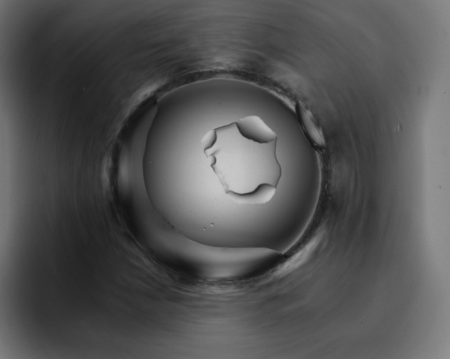 X0000093151210200710101129