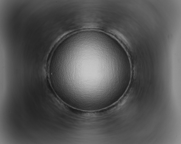 X0000093151212200710101129