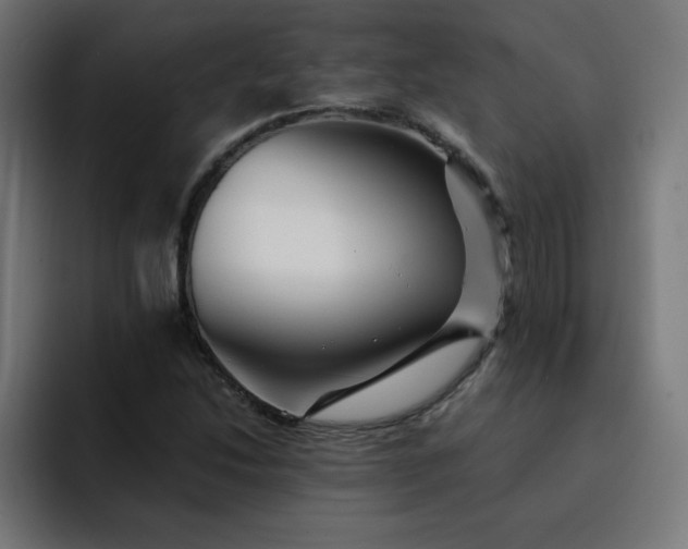 X0000093151214200710101129