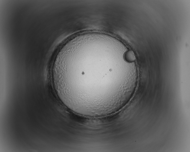 X0000093151215200710101129