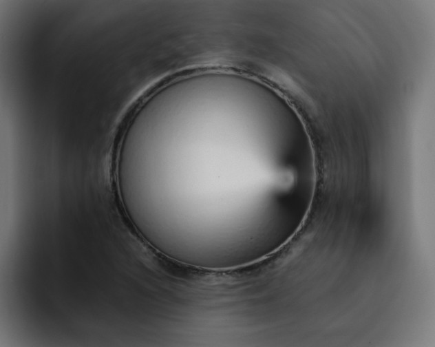 X0000093151216200710101129